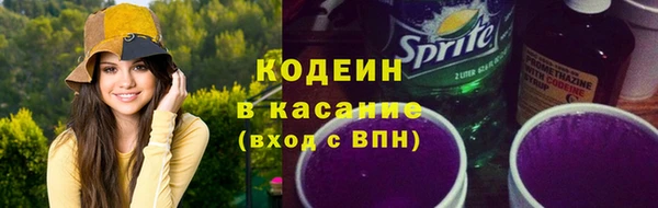 гашик Алексин
