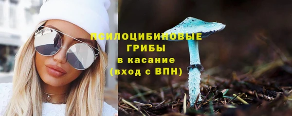 гашик Алексин