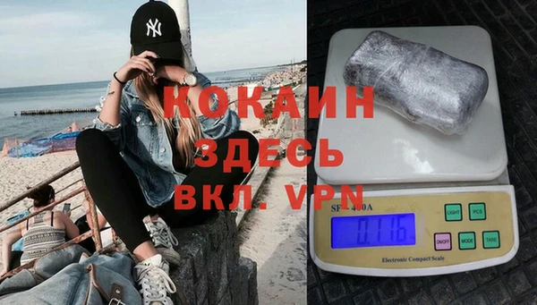 индика Арсеньев
