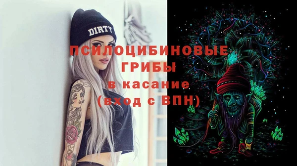 гашик Алексин