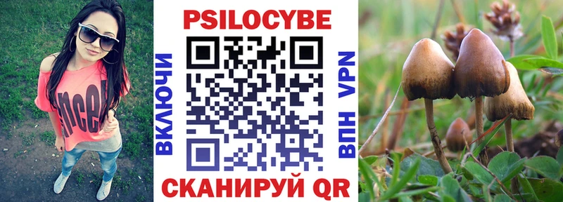 Псилоцибиновые грибы прущие грибы  Себеж 